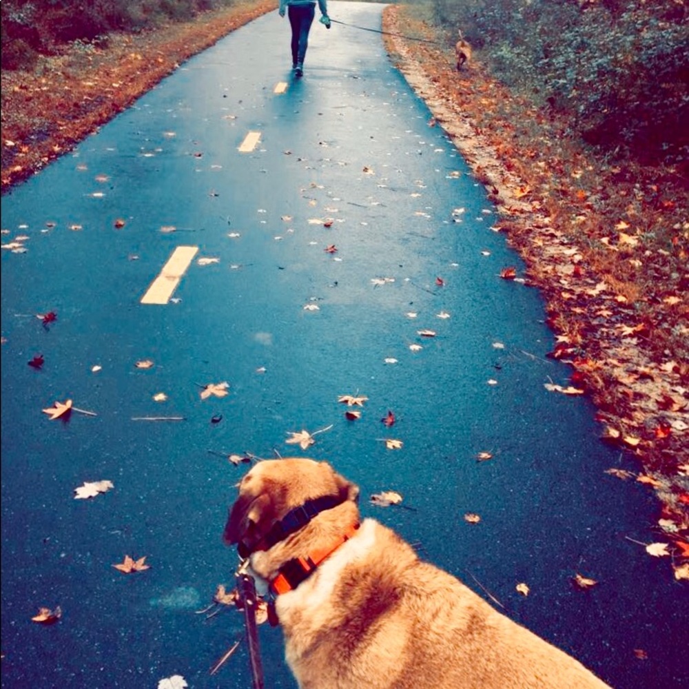 Meet your Posher, Rachel